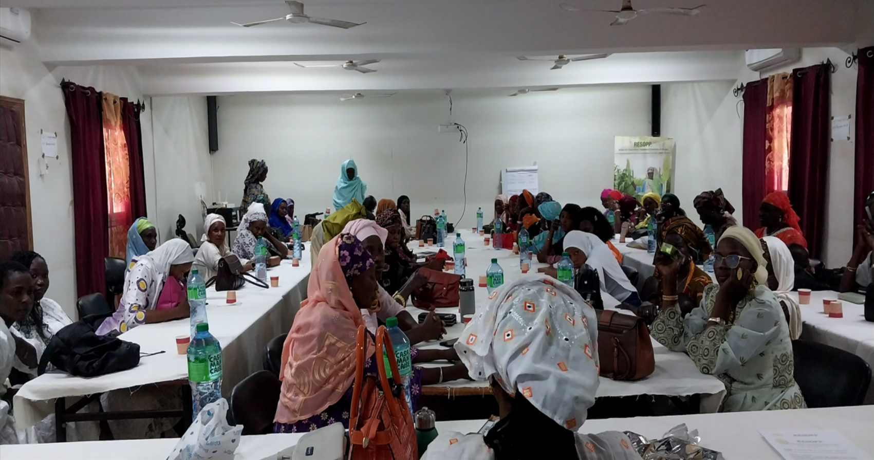 Rencontre de la Dynamique Féminine du RESOPP&nbsp;: un engagement renforcé pour l’autonomisation des femmes rurales