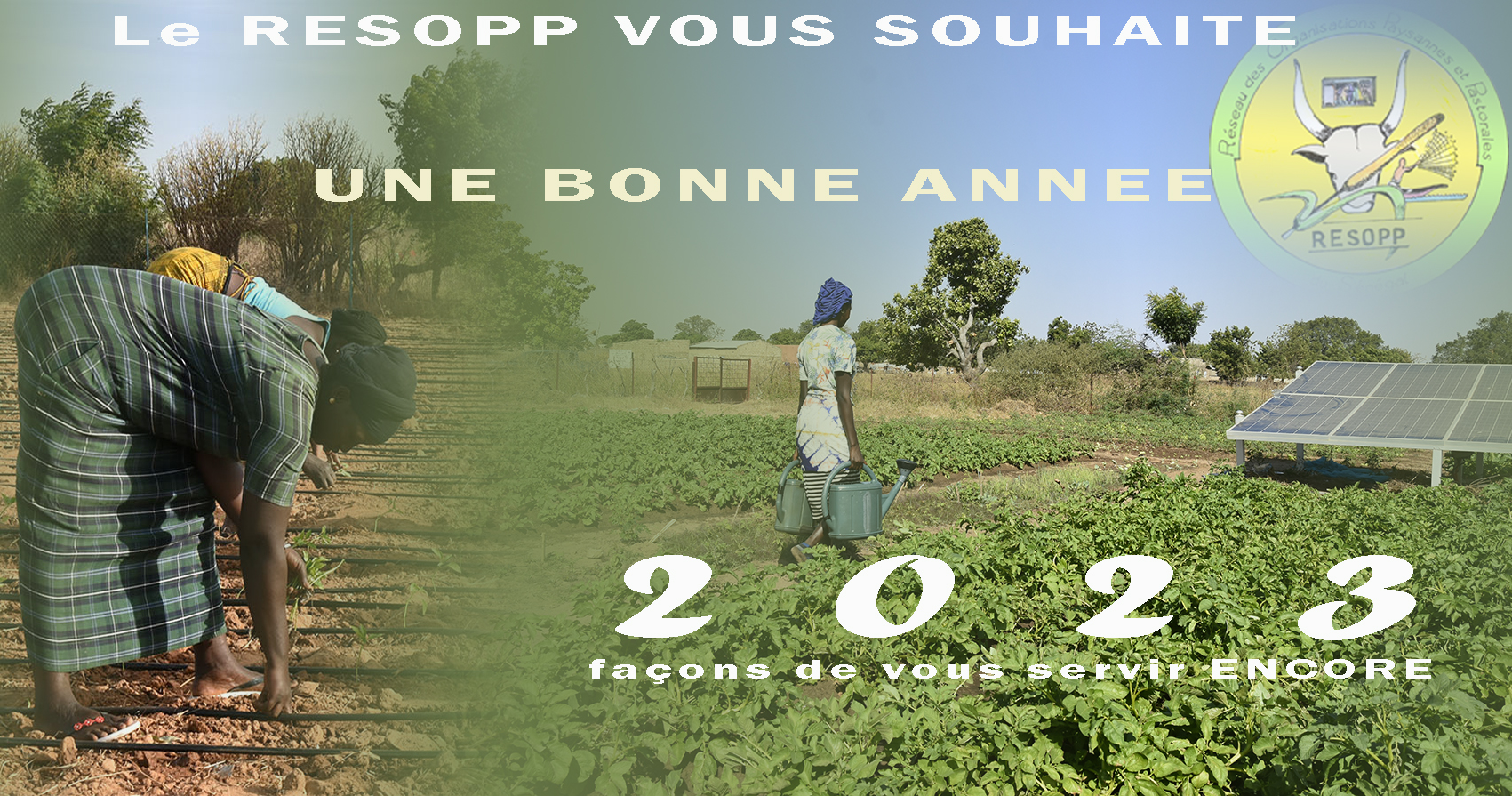 LE RESOPP VOUS SOUHAITE UNE BONNE ANNEE 2023